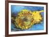 Tournesol-Vincent van Gogh-Framed Art Print