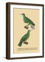 Tourterelle Bleu-Verdin-null-Framed Art Print