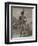 Toussaint Louverture-null-Framed Premium Giclee Print