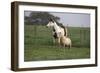 Tovero-Bob Langrish-Framed Photographic Print