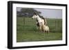 Tovero-Bob Langrish-Framed Photographic Print