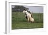 Tovero-Bob Langrish-Framed Photographic Print