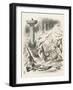 Toves Raths and Borogroves, Invented Creatures of the Jabberwocky Poem-John Tenniel-Framed Photographic Print