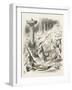 Toves Raths and Borogroves, Invented Creatures of the Jabberwocky Poem-John Tenniel-Framed Photographic Print