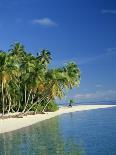 Tropical Island with Palm Trees, Surrounded by the Sea in the Maldive Islands, Indian Ocean-Tovy Adina-Photographic Print