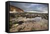 Toward Flamborough Head from Sewerby Rocks, Bridlington, East Riding of Yorkshire, England, UK-Mark Sunderland-Framed Stretched Canvas