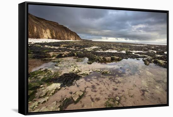 Toward Flamborough Head from Sewerby Rocks, Bridlington, East Riding of Yorkshire, England, UK-Mark Sunderland-Framed Stretched Canvas