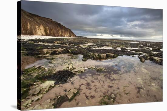 Toward Flamborough Head from Sewerby Rocks, Bridlington, East Riding of Yorkshire, England, UK-Mark Sunderland-Stretched Canvas