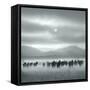 Toward the Sun-Shu-Guang Yang-Framed Stretched Canvas