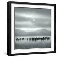 Toward the Sun-Shu-Guang Yang-Framed Photographic Print