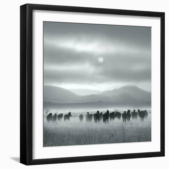 Toward the Sun-Shu-Guang Yang-Framed Photographic Print