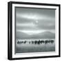 Toward the Sun-Shu-Guang Yang-Framed Photographic Print