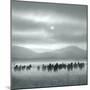 Toward the Sun-Shu-Guang Yang-Mounted Photographic Print