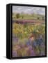 Towards Burgate Church-Timothy Easton-Framed Stretched Canvas