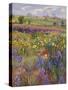 Towards Burgate Church-Timothy Easton-Stretched Canvas