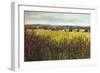 Towards Riseley, 2012,-Helen White-Framed Giclee Print