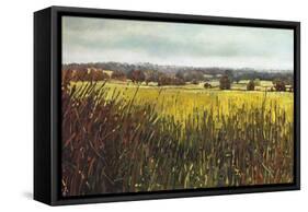 Towards Riseley, 2012-Helen White-Framed Stretched Canvas