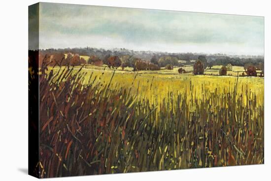 Towards Riseley, 2012-Helen White-Stretched Canvas