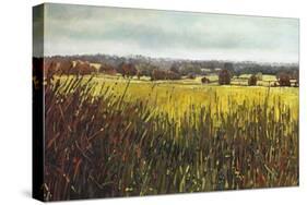 Towards Riseley, 2012-Helen White-Stretched Canvas