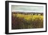 Towards Riseley, 2012-Helen White-Framed Giclee Print