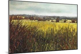 Towards Riseley, 2012-Helen White-Mounted Giclee Print