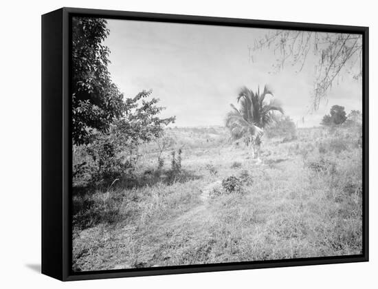 Towards Santiago De Cuba from San Juan Hill-null-Framed Stretched Canvas