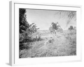 Towards Santiago De Cuba from San Juan Hill-null-Framed Photo