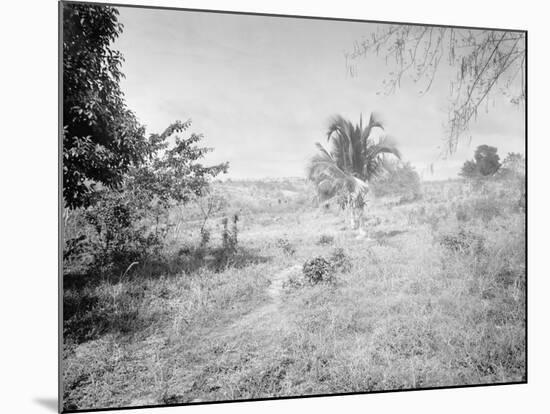 Towards Santiago De Cuba from San Juan Hill-null-Mounted Photo