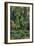 Towards the Autumn-Ivan Ivanovitch Shishkin-Framed Art Print