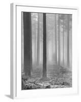 Towards The Light B&W-Andreas Stridsberg-Framed Giclee Print