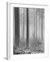 Towards The Light B&W-Andreas Stridsberg-Framed Giclee Print