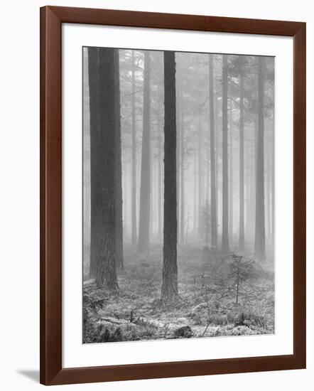 Towards The Light B&W-Andreas Stridsberg-Framed Giclee Print