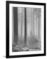 Towards The Light B&W-Andreas Stridsberg-Framed Giclee Print