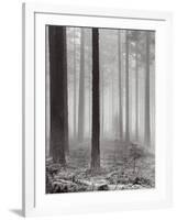 Towards The Light B&W-Andreas Stridsberg-Framed Art Print