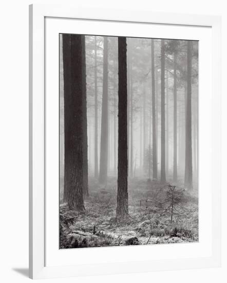 Towards The Light B&W-Andreas Stridsberg-Framed Art Print