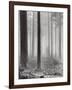 Towards The Light B&W-Andreas Stridsberg-Framed Art Print