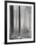 Towards The Light B&W-Andreas Stridsberg-Framed Art Print