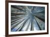 Towards the Sky-Andrew Geiger-Framed Giclee Print