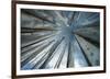 Towards the Sky-Andrew Geiger-Framed Giclee Print