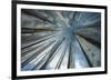 Towards the Sky-Andrew Geiger-Framed Giclee Print