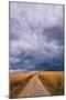 Towards the Storm-Norbert Maier-Mounted Giclee Print