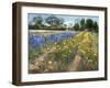 Towards the White Barn, 1996 (Oil on Canvas)-Timothy Easton-Framed Giclee Print