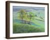 Towards Winchelsea, Sussex, with Bluebells in Spring-Anne Durham-Framed Giclee Print