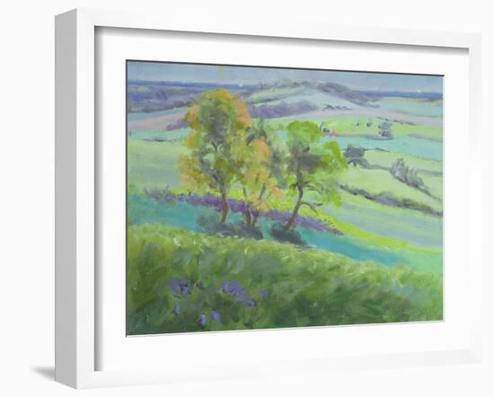 Towards Winchelsea, Sussex, with Bluebells in Spring-Anne Durham-Framed Giclee Print