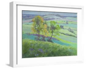 Towards Winchelsea, Sussex, with Bluebells in Spring-Anne Durham-Framed Giclee Print