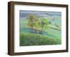 Towards Winchelsea, Sussex, with Bluebells in Spring-Anne Durham-Framed Giclee Print