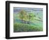 Towards Winchelsea, Sussex, with Bluebells in Spring-Anne Durham-Framed Giclee Print