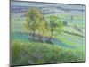 Towards Winchelsea, Sussex, with Bluebells in Spring-Anne Durham-Mounted Giclee Print