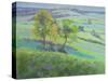 Towards Winchelsea, Sussex, with Bluebells in Spring-Anne Durham-Stretched Canvas