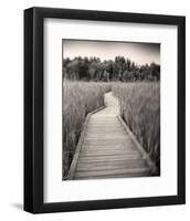 Towards Woods-Andrew Ren-Framed Art Print